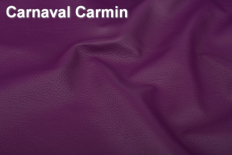 Carnaval Carmin