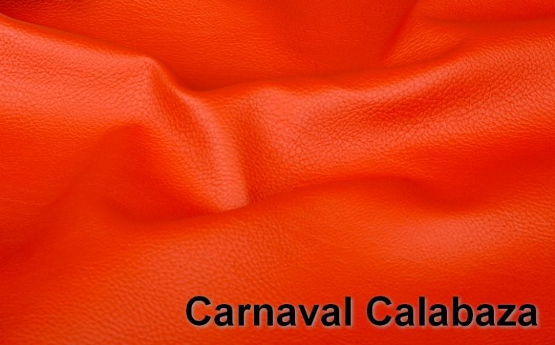 Carnaval Calabaza